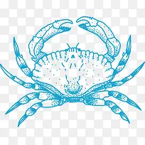 蓝色手绘卡通螃蟹