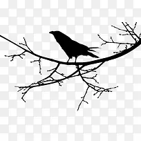 树枝上的小鸟剪影
