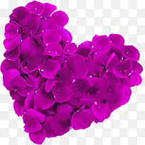 紫色水珠花瓣爱心