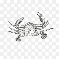 手绘海蟹素材图