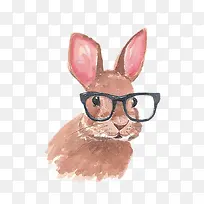 手绘戴眼镜的兔子