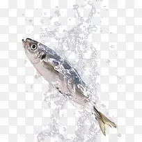 水花飞溅中的鱼