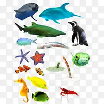 海洋里的各种哺乳动物和鱼类