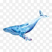 手绘水彩一只唯美的蓝色座头鲸插
