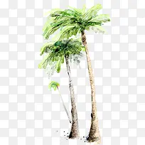 彩绘椰子树