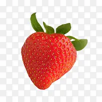 红色可口草莓