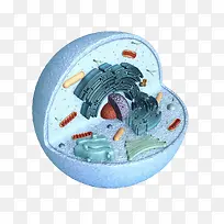细胞建筑3D立体插画