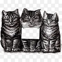 黑色三猫框