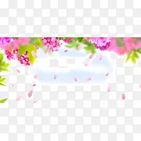 花卉 花瓣  背景装饰图案 五