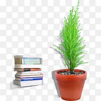 书本和绿植