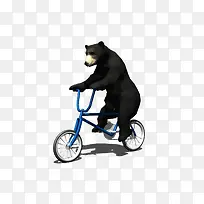 大黑熊骑车