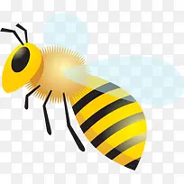可爱黄色蜜蜂