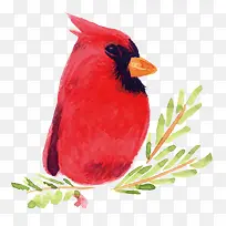 卡通手绘圣诞红色小鸟