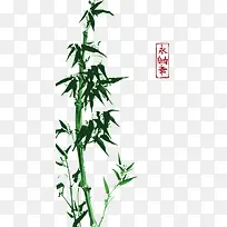 墨绿色的竹子