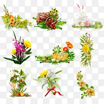 各种鲜花植物集合