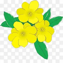 彩绘黄色花朵花叶