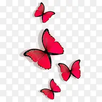 红色蝴蝶装饰
