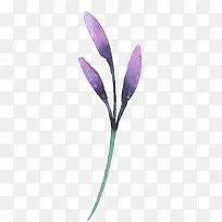 紫色水彩小花枝