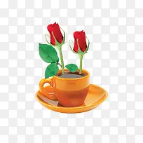 咖啡玫瑰