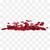 一堆红色的花瓣免抠素材