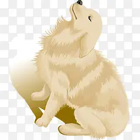 一条金毛犬