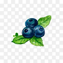 泼墨蓝莓