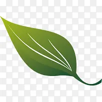 矢量绿色植物设计大树叶创意图标
