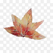 枫叶水彩画素材图片