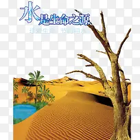 沙漠环境枯树