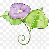 紫色牵牛花植物卡通