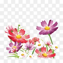 花卉 时尚休闲女装