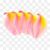 粉色鸡蛋花瓣