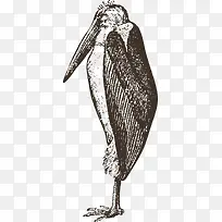 站立的啄木鸟