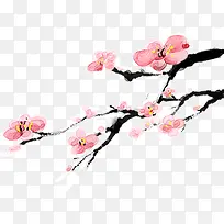 美丽的梅花