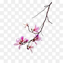 粉色花朵枝桠装饰图案