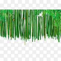 野外绿色竹林