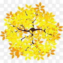 秋季金色树枝植物