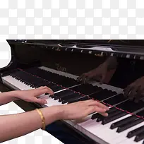 气质美女弹钢琴的手透明png