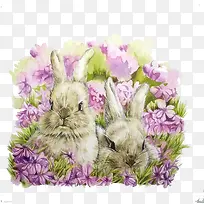 花丛中的兔子