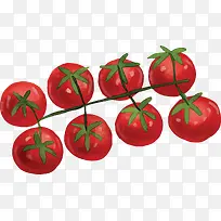 卡通红色食材番茄