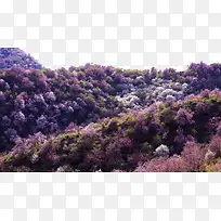 新疆伊犁优美风景