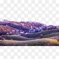 新疆伊犁优美风景
