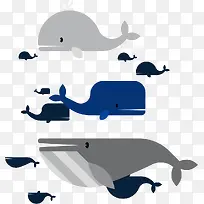 大白鲸家族