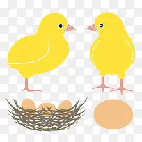 卡通小鸡和鸡蛋
