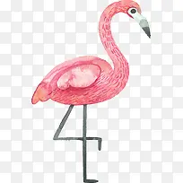粉红水彩手绘火烈鸟