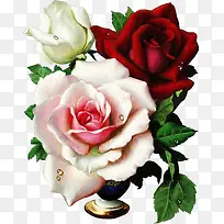 手绘彩铅彩色花朵玫瑰