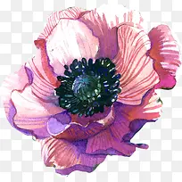 水彩粉紫色花朵简图
