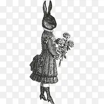 手绘兔子女士和玫瑰花