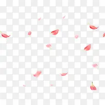 情人节红色漂浮花瓣