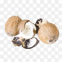 椰子和椰子壳